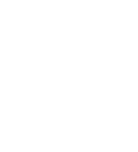 Inter Avia Group